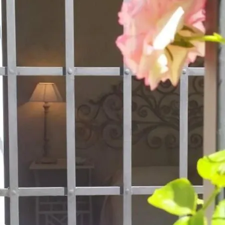 Bed & Breakfast La Limonaia Pietrasanta